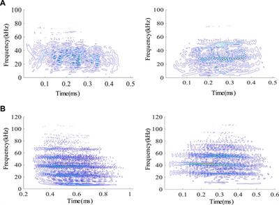 A SVM-based method for identifying fracture modes of rock using WVD spectrogram features of AE signals